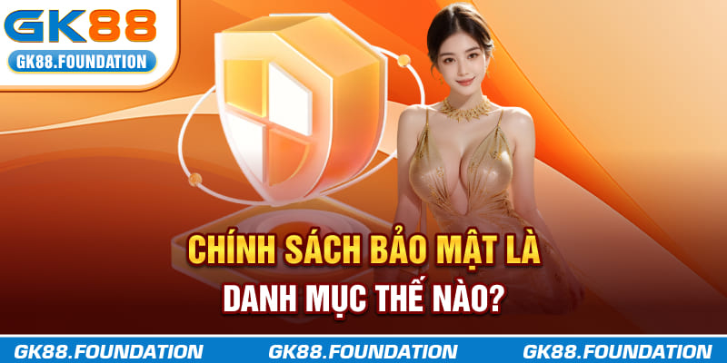 Chính sách bảo mật là danh mục thế nào?