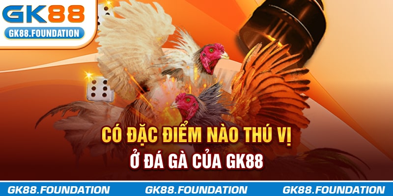 Có đặc điểm nào thú vị ở Đá Gà của GK88?