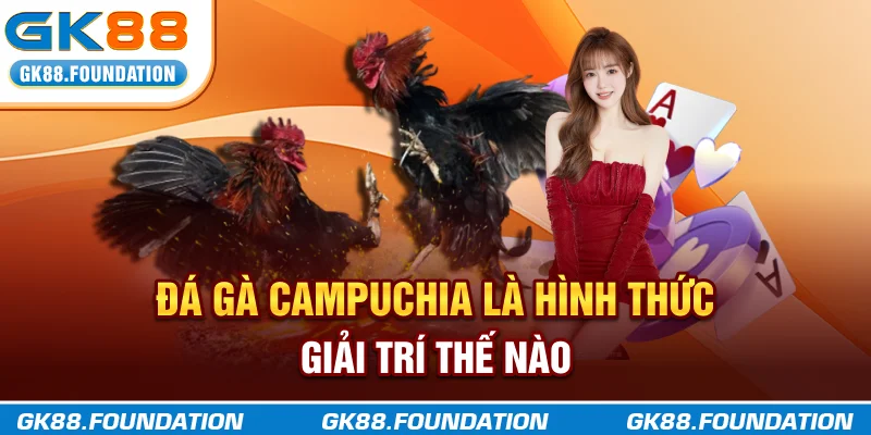 Đá gà Campuchia là hình thức giải trí thế nào?