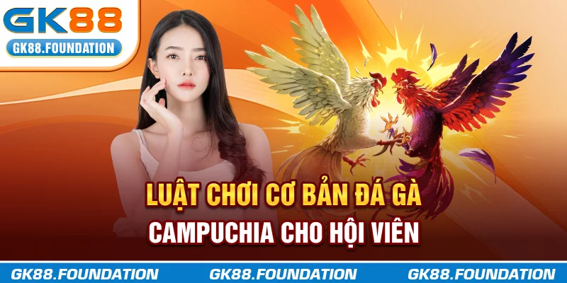 Luật chơi cơ bản đá gà Campuchia cho hội viên