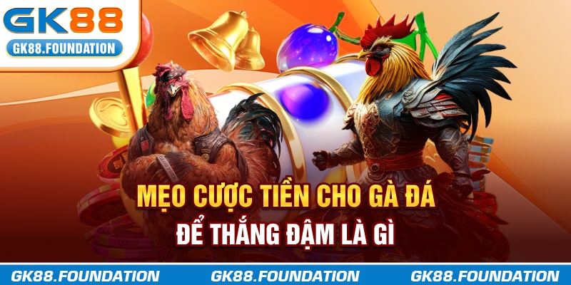 Mẹo cược tiền cho gà đá để thắng đậm là gì?