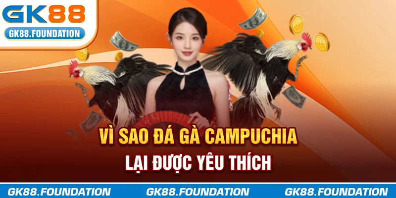 Vì sao đá gà Campuchia lại được yêu thích?